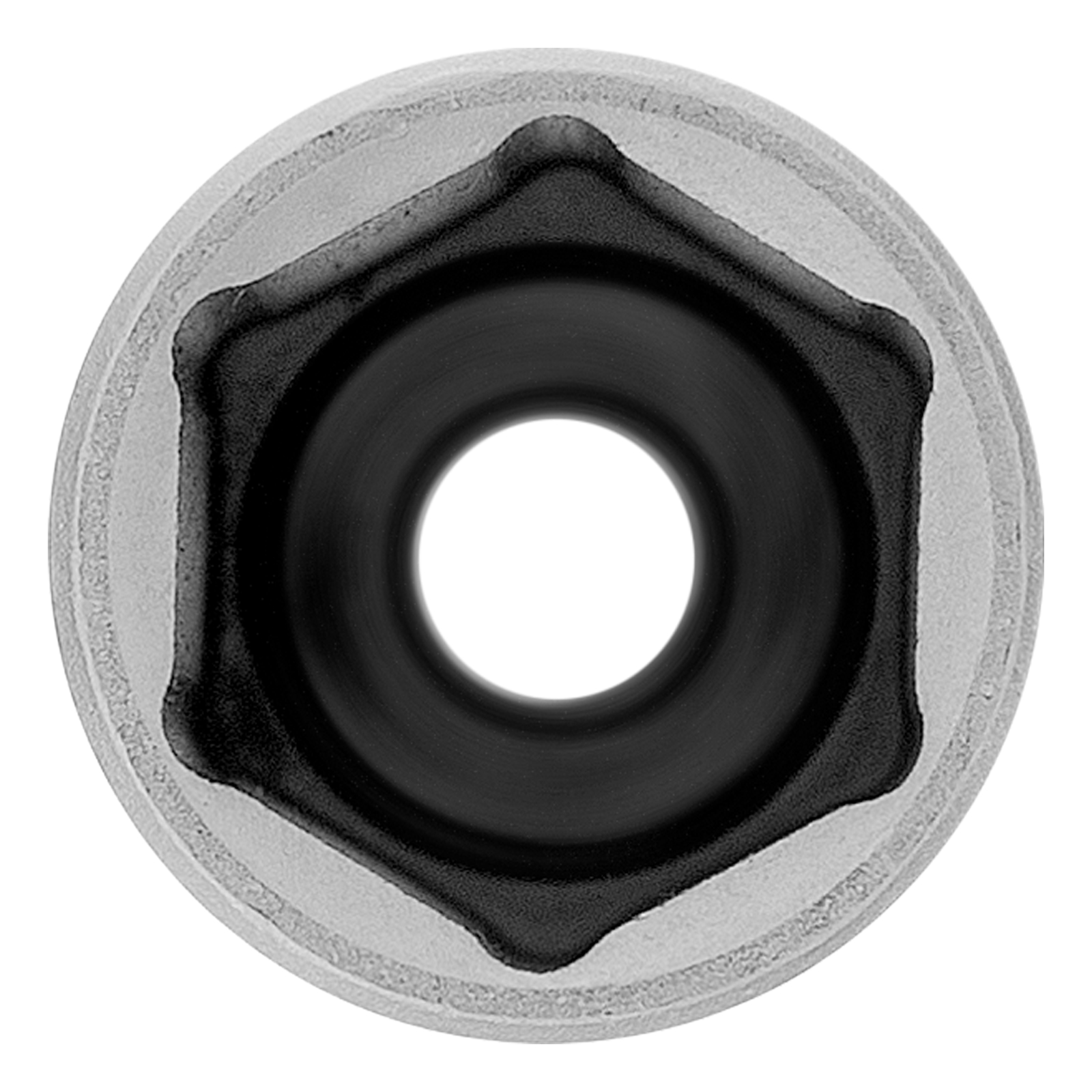 12048036