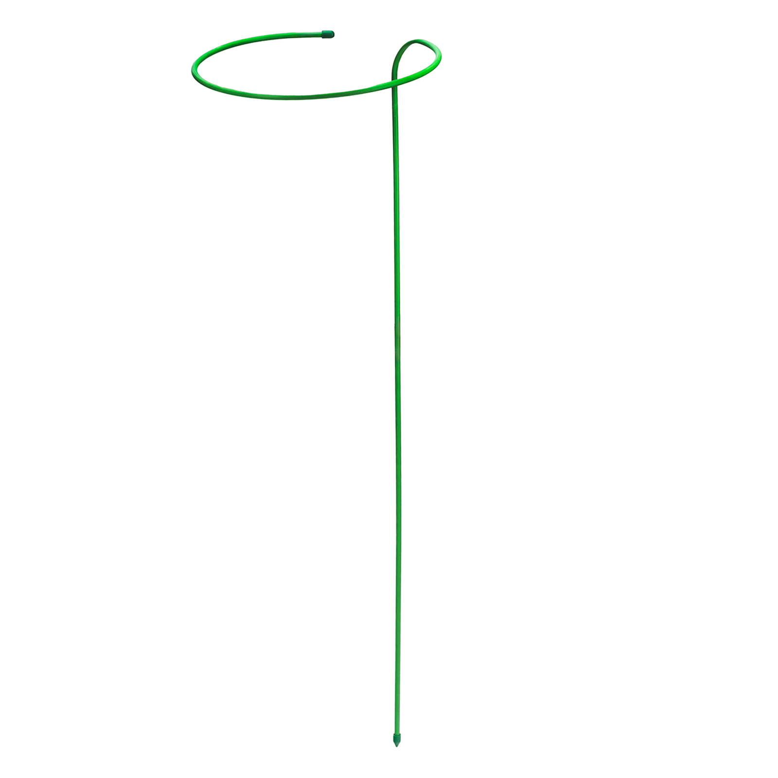 11314531 11314531